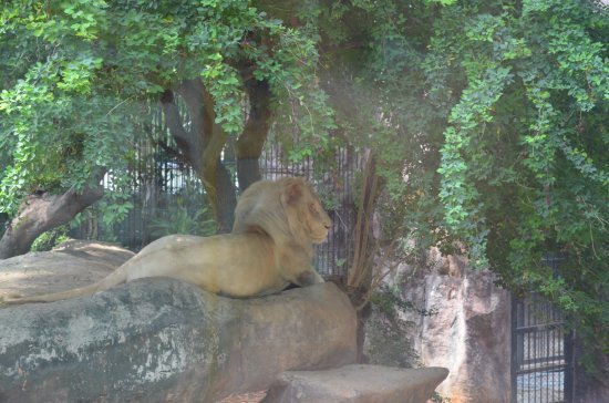 Dusit Zoo